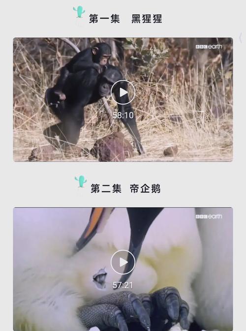 夜色私人影院APP下载安装指南｜免费高清影视资源、夜间观影模式推荐、私人专属影单管理功能详解