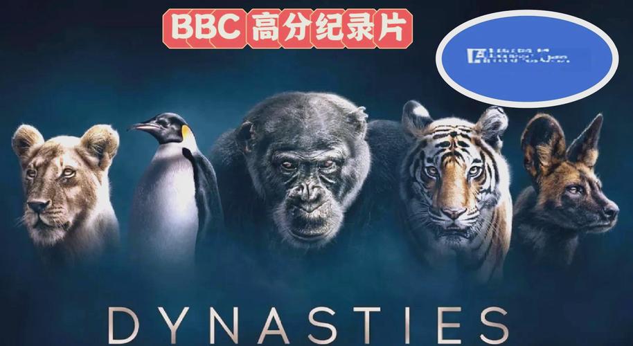 私房影院私人包厢观影指南 | 情侣约会私密空间 | 家庭影院沉浸式体验推荐