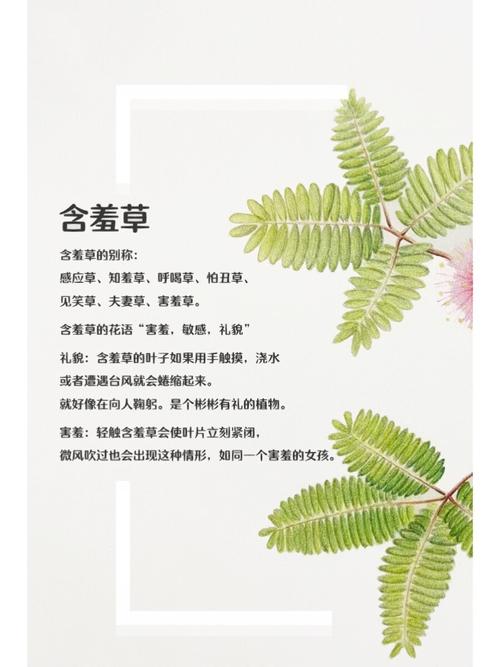 唐山电影院观影指南 | 最新排片表 | 团购优惠活动