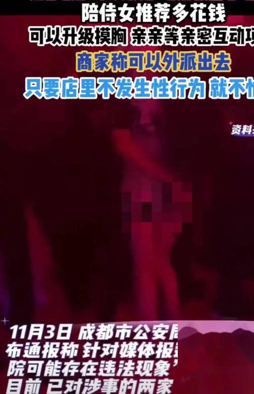 伦理片小妹的相关介绍