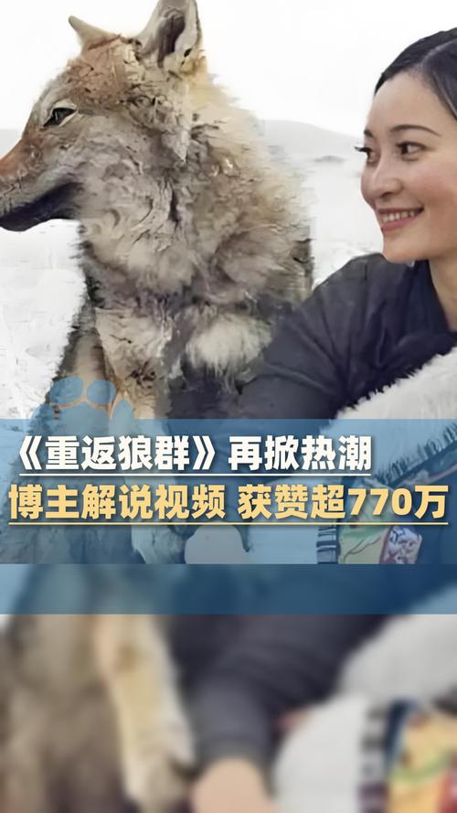 日韩精油按摩在线 | 远程身心SPA体验 | 居家放松指导 | 专业芳疗方案推荐