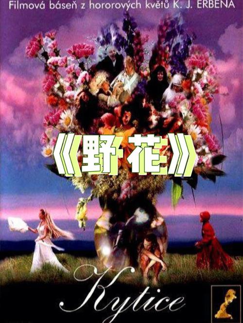 溜溜影院在线观看指南 | 最新电影、热播剧集免费追 | 高清无广告观影体验