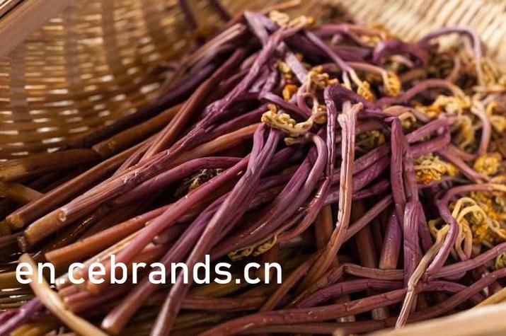 米奇影院4777在线观看指南 | 高清影视资源推荐与长尾关键词优化