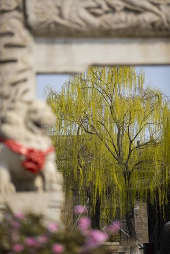 八戒手机影院在线观看 - 最新热门影视资源免费追剧，高清流畅无卡顿