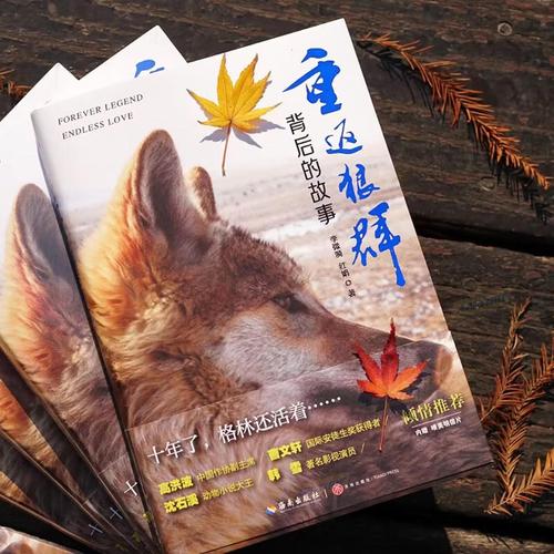 老湿新影院2025新版免费观影指南，畅享高清无广告影视资源