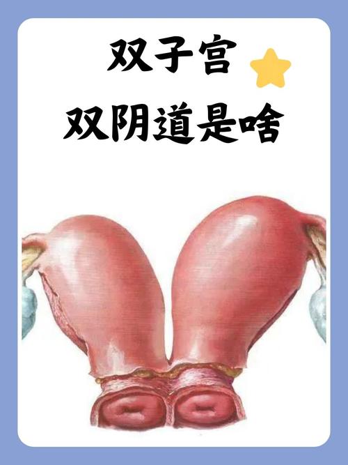 宫交双性高潮体验与身体探索技巧详解，长尾关键词：双性身体敏感点、宫交深度姿势、跨性别性健康