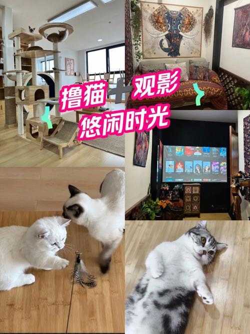 少妇人妻aa免费看的相关介绍