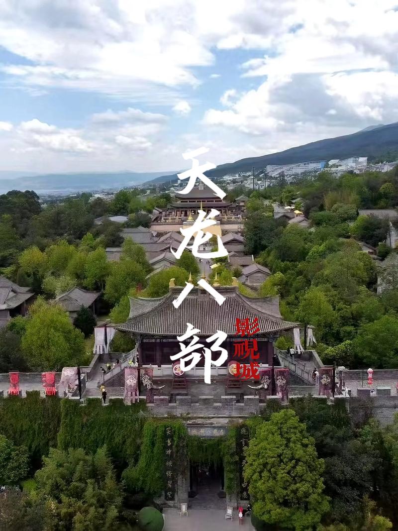 雪花飘影院手机版观看的相关介绍
