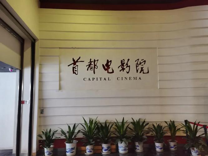 绿谷影院在线观看 - 最新电影免费追剧平台，高清无广告观影体验