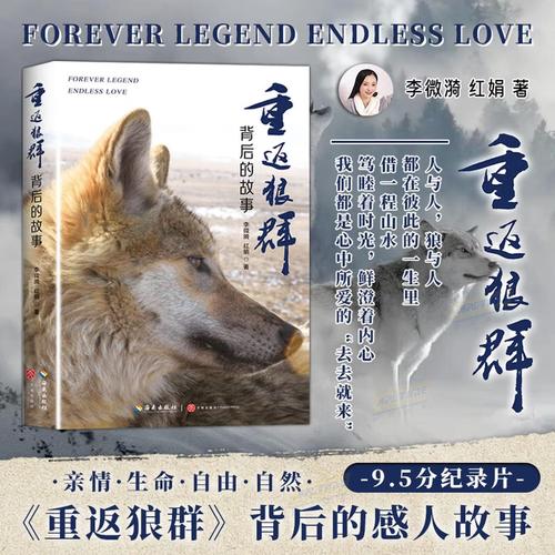 神马电影院dy888午夜最新高清在线观看_神马影院午夜福利片推荐_神马dy888午夜场电影大全
