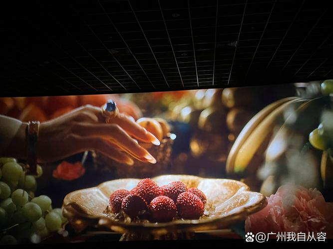 荔枝影院午夜精选:深夜宅男必备的静谧观影指南,高清资源免费追剧